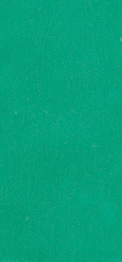 Verde Muschio ral 6005