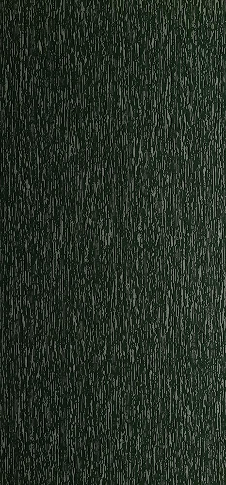 Verde Scuro ral 6009
