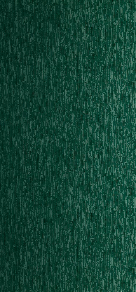 Verde Muschio ral 6005